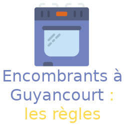 Cuisinière pour les encombrants de Guyancourt