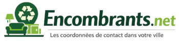 logo V2 encombrants net