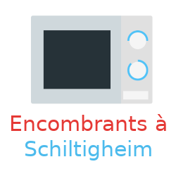 électroménager destiné aux encombrants à Schiltigheim